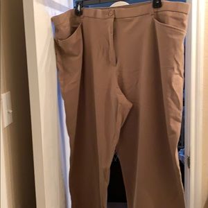 Dress pants